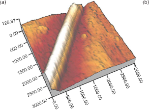 Ponto de escala em nanoescala (4)